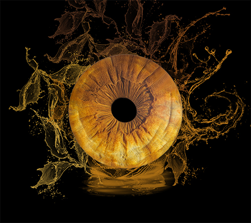 photo-iris-a-lens